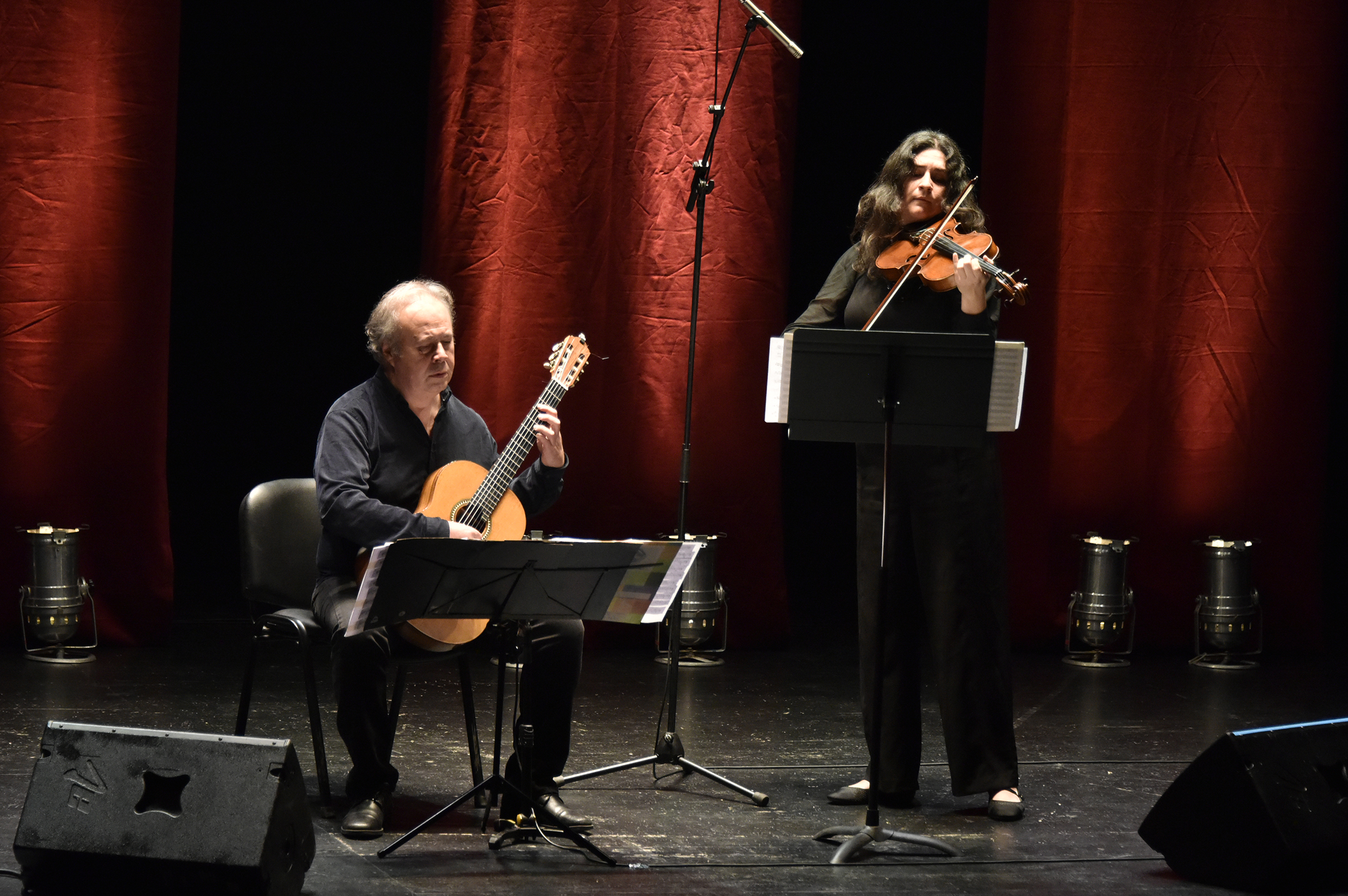 Viola y Guitarra_8